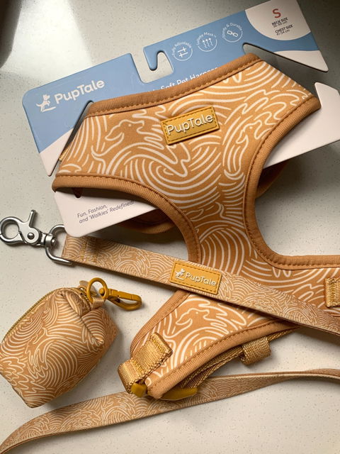 Adjustable Dog Harness | Summer Wave Gold