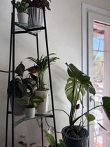 Berta Redondo review photo