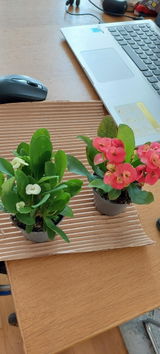 Ana Maria del Rio Magadan review photo