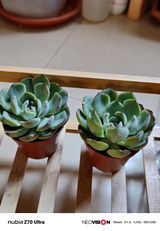 Mayuli review photo