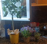Aurelio Ruiz Villena review photo