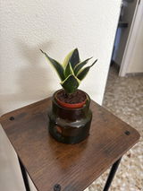 Atala Collado Quiles review photo