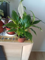 Miguel Carretero review photo