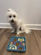 Jordyn & Bodhi review photo
