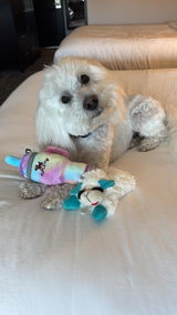 Jordyn & Bodhi review photo