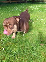 Ashton Tuua review photo