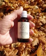 Katalin review photo