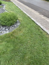 Stephan Böhmer review photo