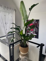 S. review photo
