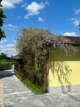 erwin zinner review photo