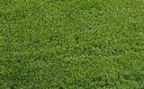 Fabian review photo