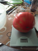O.N. review photo