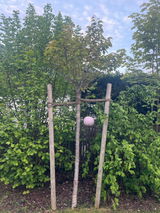 Anonym review photo