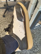 sardobi review photo