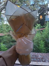 Lebogang R. review photo