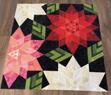 Kathy Hoenig review photo