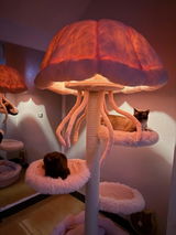 tofurfect review photo