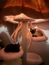 tofurfect review photo