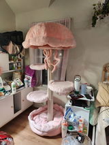 Ann review photo