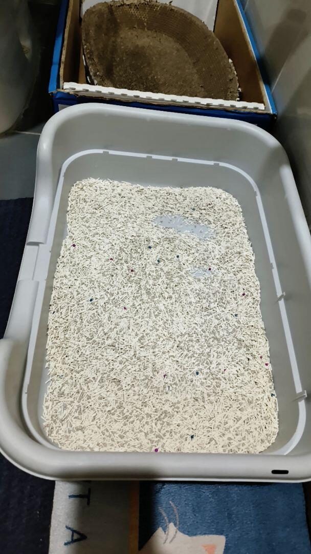 a*****a review photo
