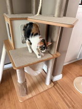 *Mel* review photo