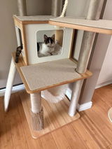 *Mel* review photo