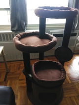 Vanessa X review photo