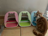 Etsy customer review photo