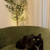 Etsy buyer review photo