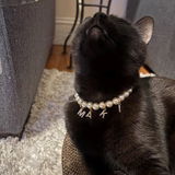 Etsy buyer review photo