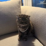 Tammy review photo