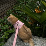 Kitty S. review photo