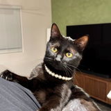 Etsy buyer review photo