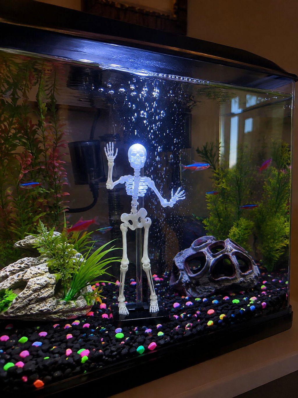 Customer aquarium with Puryx piece