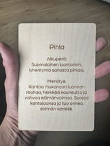 Minna Ollikka review photo
