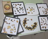 Anônimo review photo