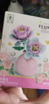 Debra E. review photo