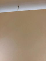 Gilbert S. review photo