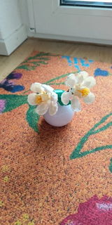 Lazaro L. review photo