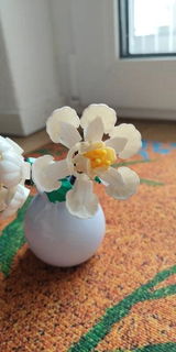 Lazaro L. review photo