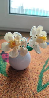 Lazaro L. review photo