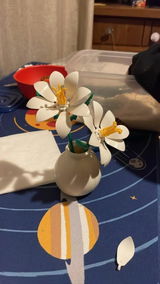 Moon O. review photo
