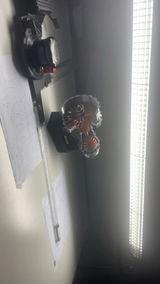 Alfred F. review photo