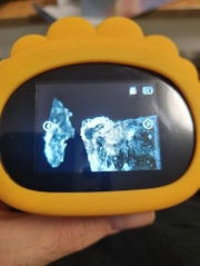 Kundenfoto für Digitales Handmikroskop für Kinder, 1000-fach – Micro Explorer — Gearfinch