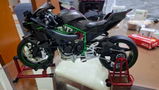 Coleman H. review photo