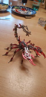 Sarina W. review photo