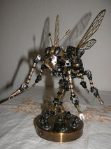 Manfred R. review photo