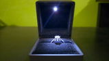 Evan G. review photo