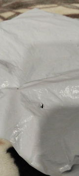 Marcin D. review photo