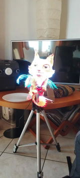 Andrej P. review photo